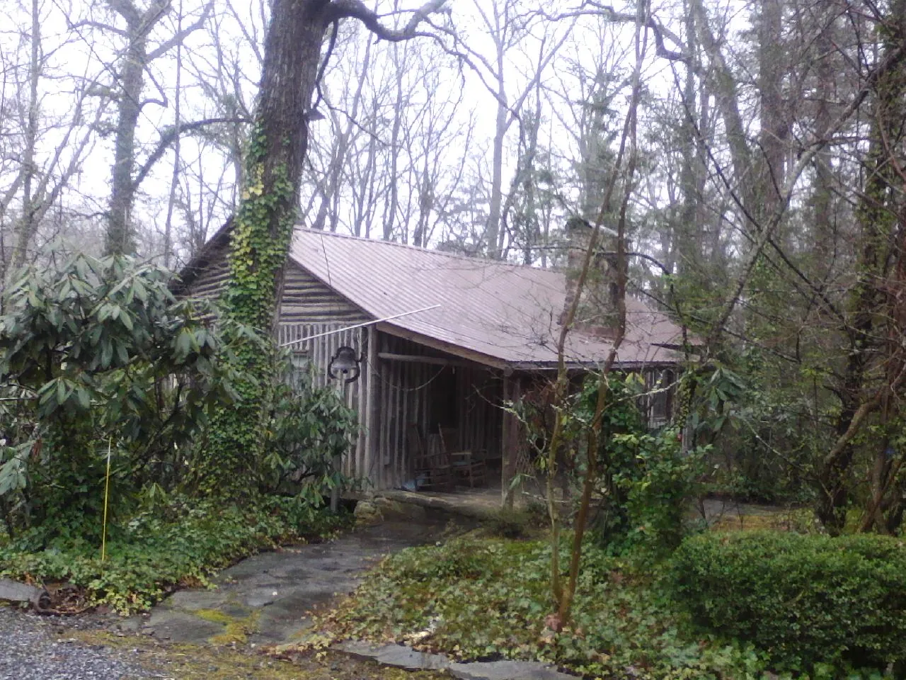 Weathered metal roof on an old board sided cabin in the woods in Haskell